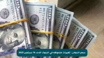 سعر الدولار.. تغيرات ملحوظة في البنوك الأحد 14 سبتمبر 2025